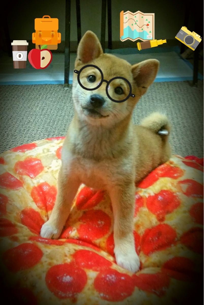 战术革新：从传统到现代的演变之路，战术简史