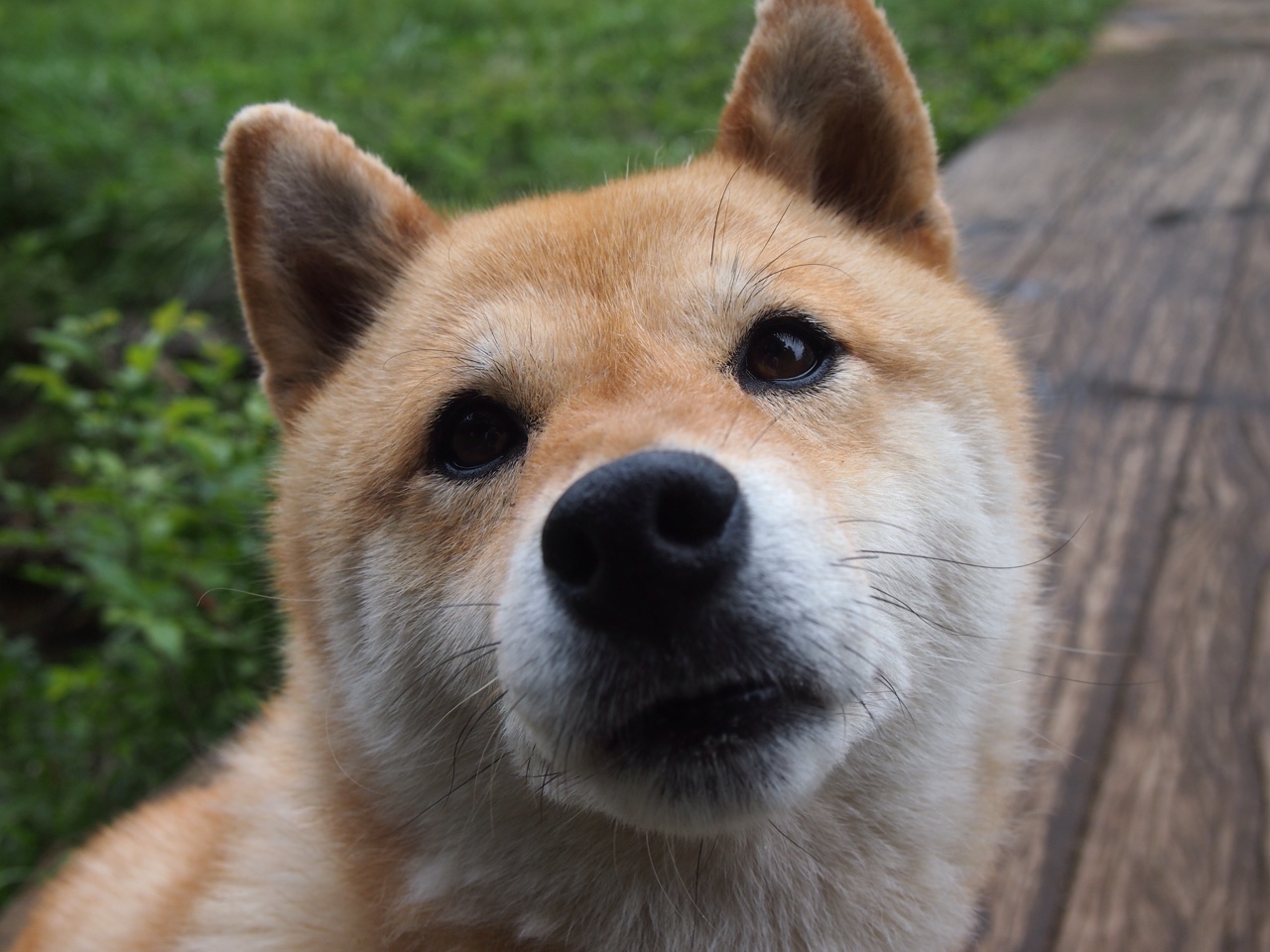 开云体育APP下载-中国队前锋苏亚雷斯在巴黎奥运会上表现出色，苏亚雷斯夺冠